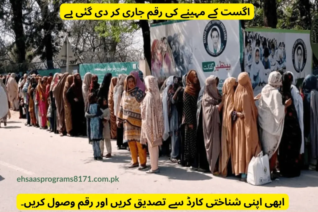 bisp 8171 august 2025 payment verification via cnic